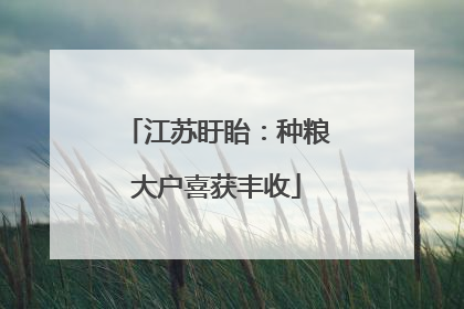 江苏盱眙：种粮大户喜获丰收